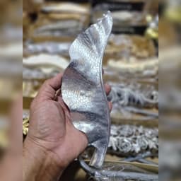 گلمیخ عصایی وارداتی - تصویر کوچک 2